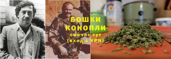 спайс Алексин