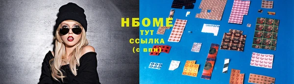 прущие грибы Алзамай