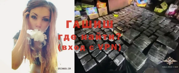 прущие грибы Алзамай