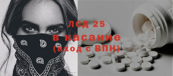 прущие грибы Алзамай