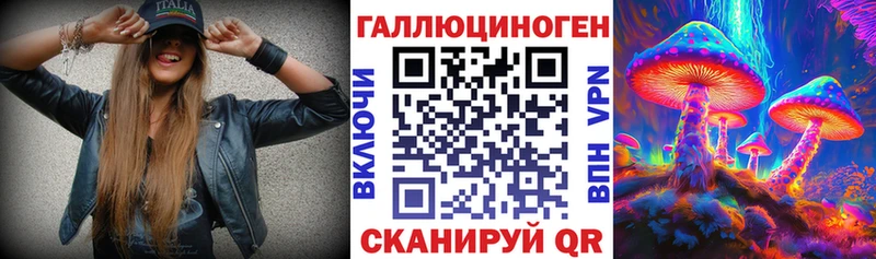закладка  Андреаполь  Псилоцибиновые грибы Psilocybe 