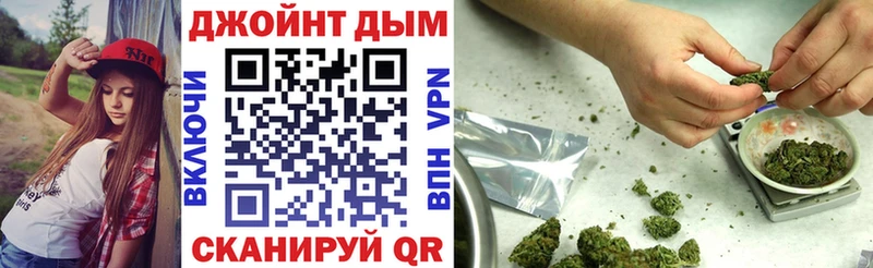 Бошки Шишки план Андреаполь